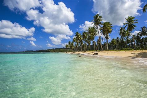 Dominican Republic Online Sportsbooks .